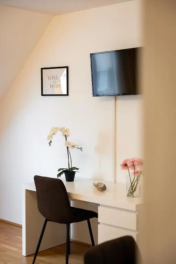 Premium 80 M2 Rooftop Apartment - 5 Min To Center Wenen